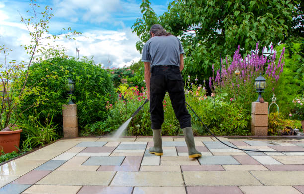 Best Parking Lot and Garage Cleaning  in Stevensville, MD