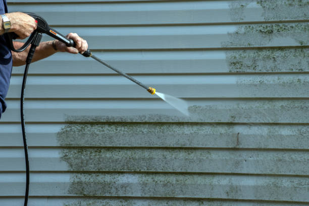 Best Solar Panel Cleaning  in Stevensville, MD